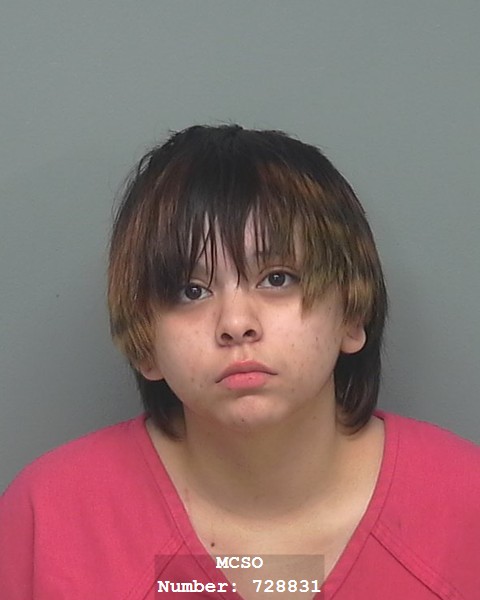 SHERIFF DOOLITTLE’S BED AND BREAKFAST BOOKINGS FOR MONDAY, MAY 25, 2026-62 ARRESTS
