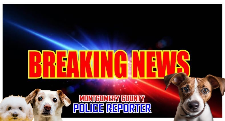 URGENT!!! Montgomery County Animal Shelter Now Has Two Non-Working A/C’s – HOT DOGS Need Heroes!